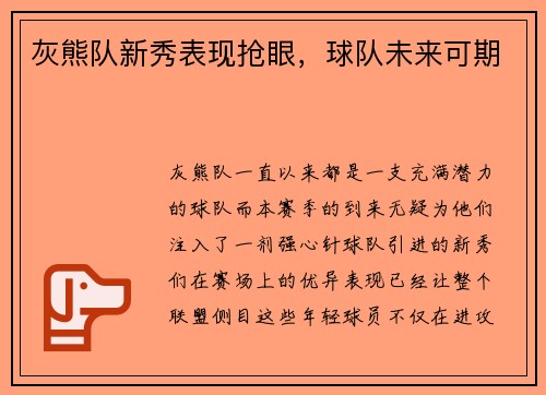 灰熊队新秀表现抢眼，球队未来可期